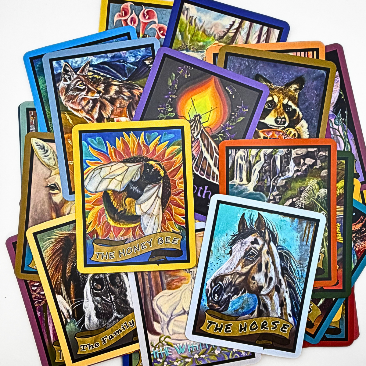 Brush and Bone Oracle Deck: 50 cards of hand-painted art and insight, by artist Amy Bond