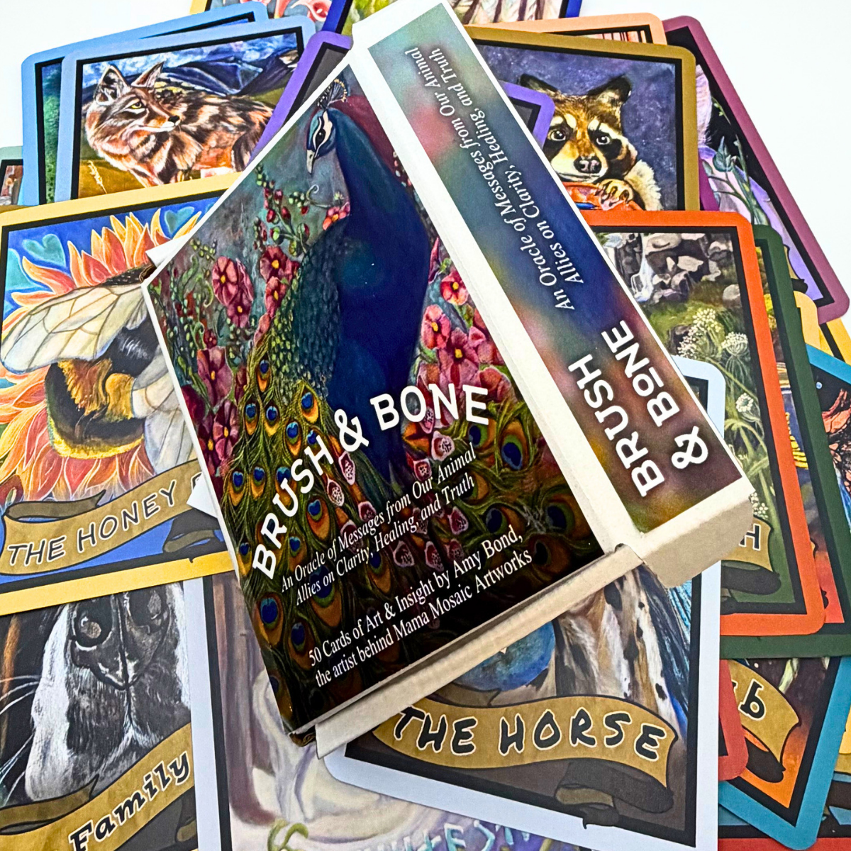 Brush and Bone Oracle Deck: 50 cards of hand-painted art and insight, by artist Amy Bond