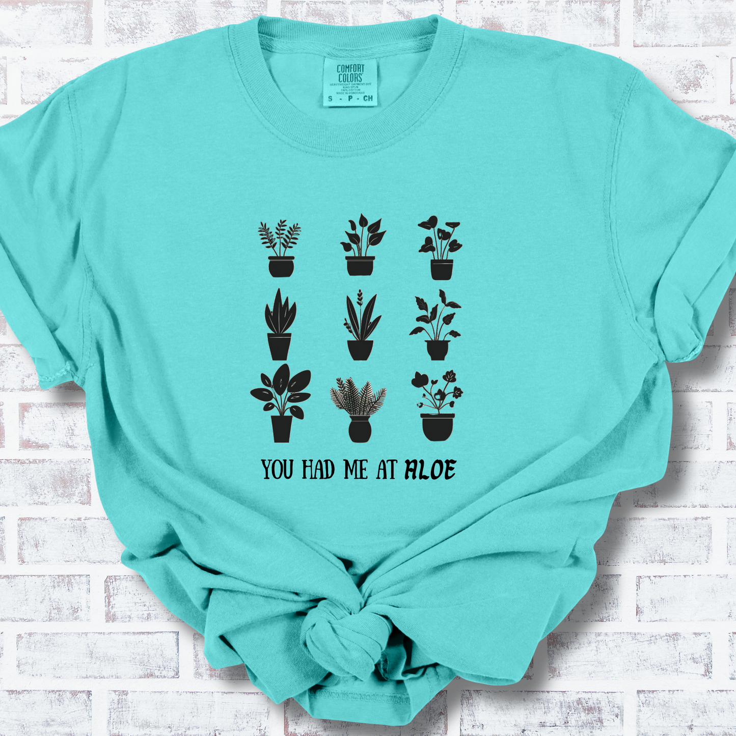 You Had Me at Aloe TShirt - Comfort Colors Unisex Crew